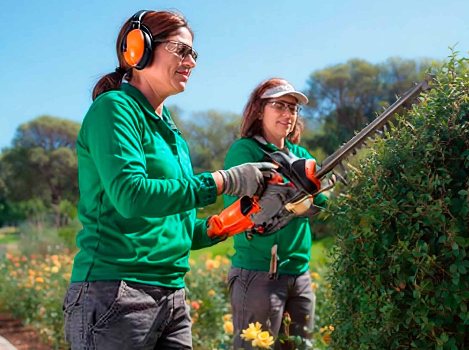 Servicio de poda de jardines