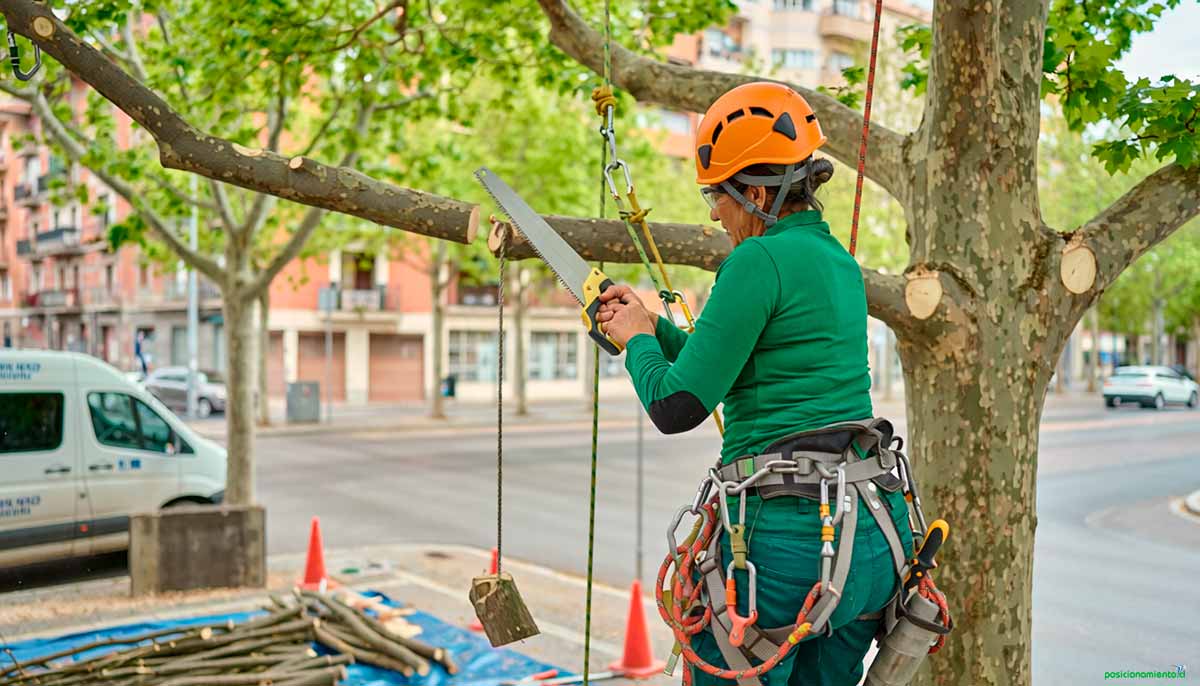 Poda de árboles