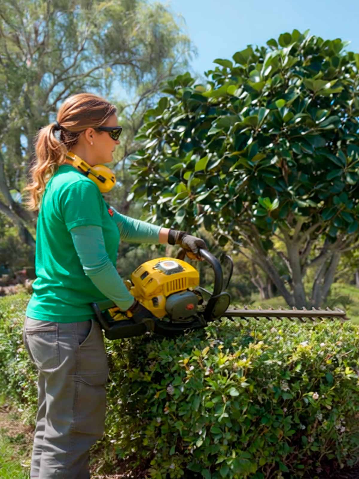 Poda de árboles en la zona oriente